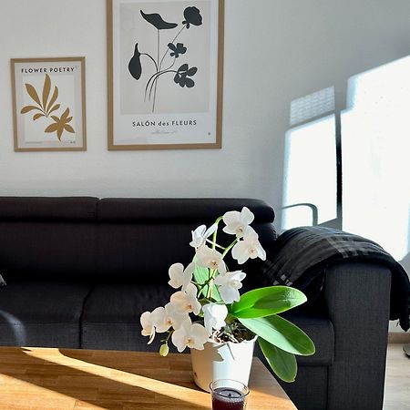 Modernes Zwei-Zimmer-Apartment Chemnitz - Kassberg Kültér fotó